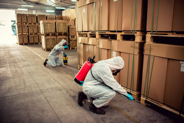 Best Pest Control for Businesses  in Bogalusa, LA