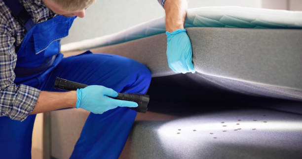 Best Best Pest Control Companies  in Bogalusa, LA