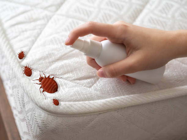 Insect Control in Bogalusa, LA
